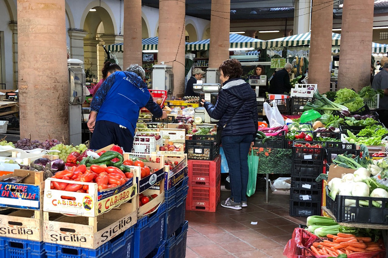 cibo-medicina-connessione.jpg